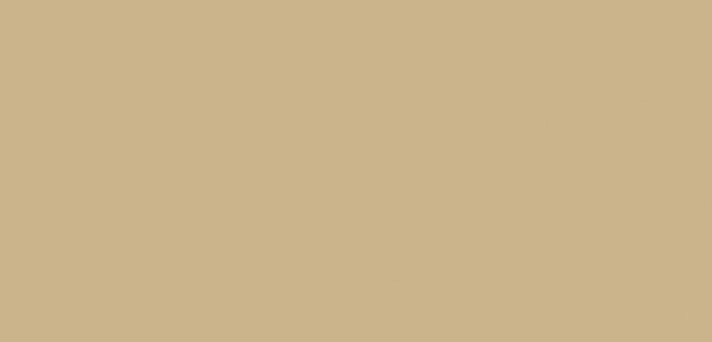 Load image into Gallery viewer, Ranger ink ranger • tim holtz alcohol ink latte 14ml
