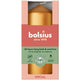 Bolsius | 6 stuks