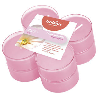 Load image into Gallery viewer, Bolsius geurtheelicht maxi magnolia 8 uur true scents | 6 stuks
