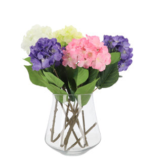 Load image into Gallery viewer, No brand hortensia single l 84cm | 12 stuks
