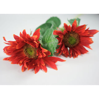 Load image into Gallery viewer, No brand | 6 stuks

