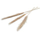No brand pampas droogbloem 150 cm set van 3 naturel