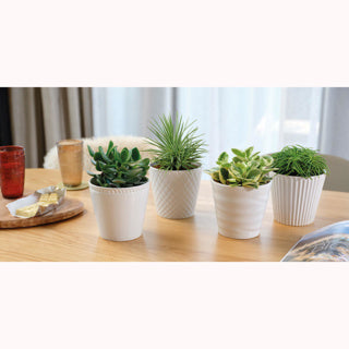| 4 stuks