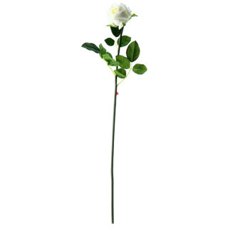 Load image into Gallery viewer, No brand | 6 stuks

