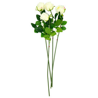 Load image into Gallery viewer, No brand | 6 stuks
