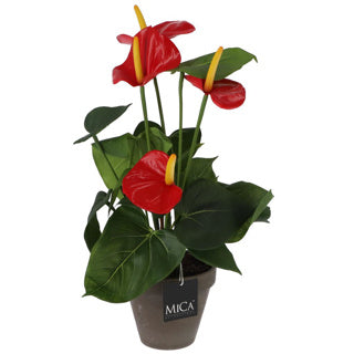 Edelman kunstplant anthurium rood in pot