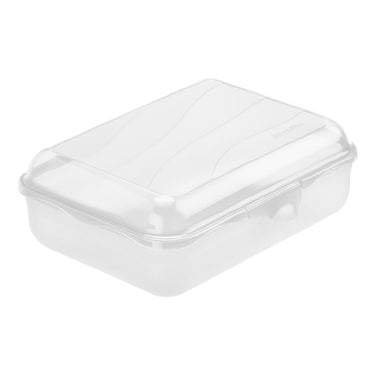 Rotho lunchbox fun 1,25 l (20 x 14 x 6 cm) transparant 1250 ml