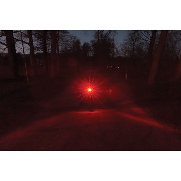 Load image into Gallery viewer, Axa dragerachterlicht juno e-bike 6-12 volt 80 mm - rood
