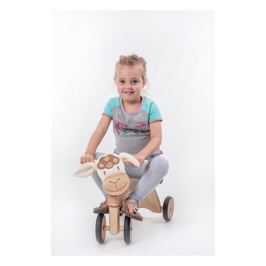 I'm toy loopfiets schaapje