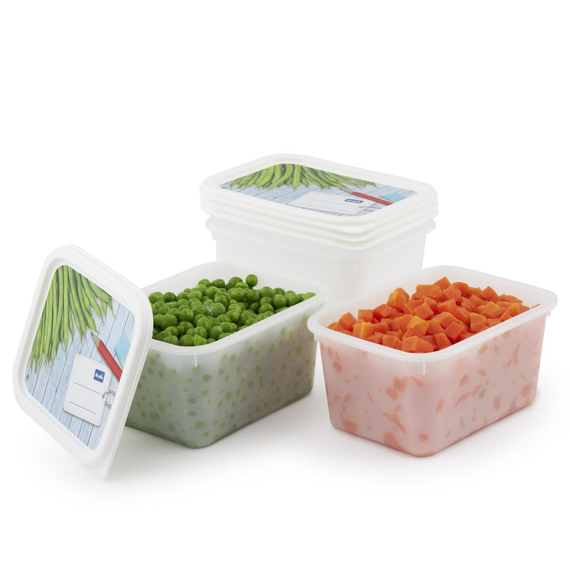 Load image into Gallery viewer, Rotho diepvriesdozenset 4-delig 0,75l
