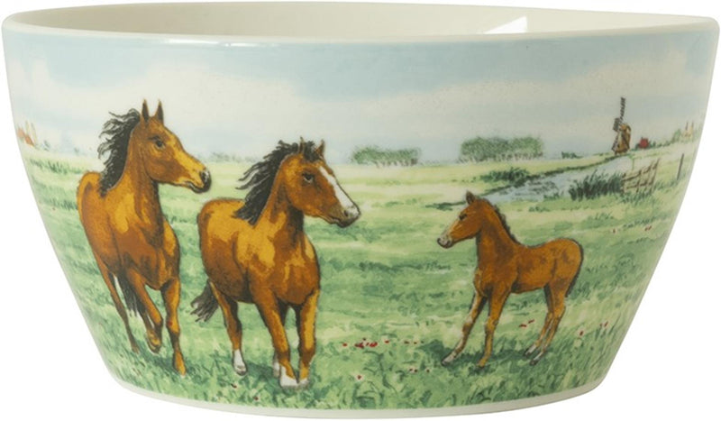 Load image into Gallery viewer, Wiebe van der zee wiebe's farm kom paard ã˜13cm doos a 6 stuks porselein
