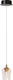 Lucide berliane - hanglamp - ø 12 cm - led dimbaar - 1x4w 2700k - met vervangbare led-module - transparant | essential