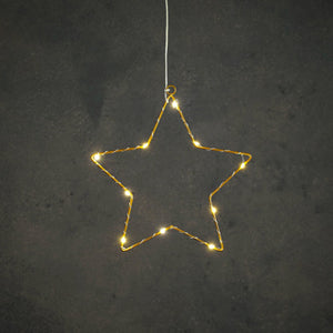 Edelman ster goud warm wit 10led battery operated - d25cm | 6 stuks