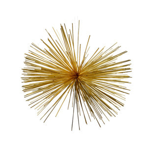 Ster petdia60cm | 2 stuks