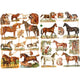 Vintage plaatjes, paarden, vel 16,5x23,5 cm, 2 vel 1 doos