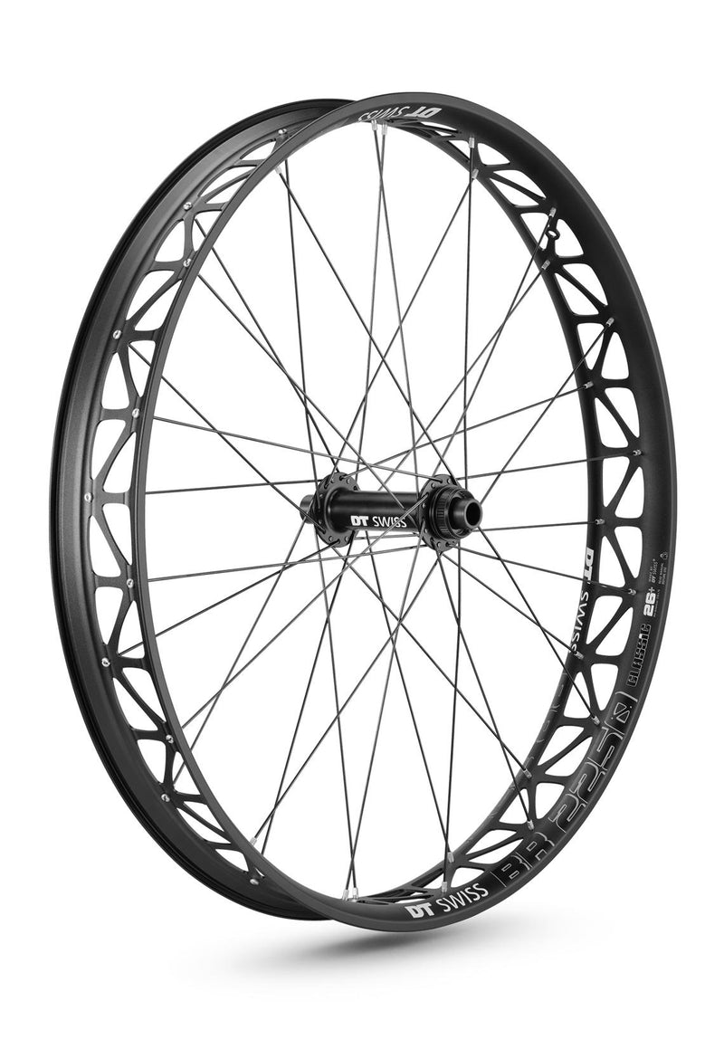 Load image into Gallery viewer, Dt swiss br 2250 classic 26 fatbike disc cl 15 150mm ta frontwheel
