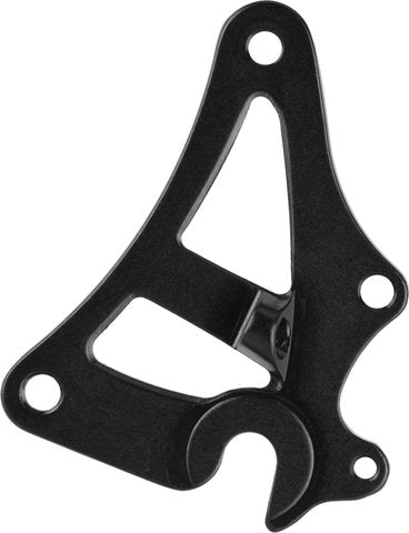 Salsa alternator standard swing plate dropouts with fender eyelets