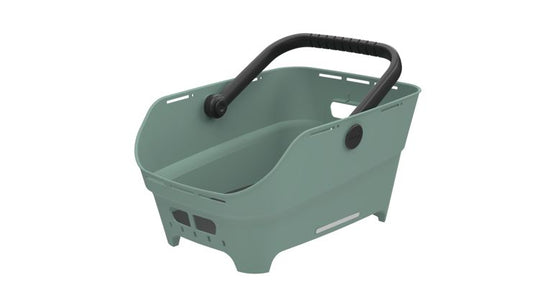 Basil mand cento neo wsl mik