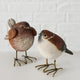 Boltze home vogel kunsthars l8h9cm polyresin