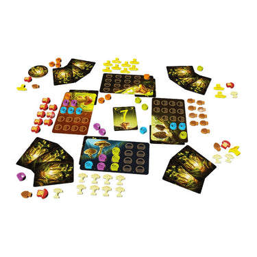 Geronimo games blue orange games - wonder woods - bordspel - 2-5 spelers - vanaf 8 jaar
