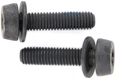 bouten voor schijfremklauw achter 39 mm 2 stuks