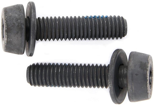 bouten voor schijfremklauw achter 39 mm 2 stuks