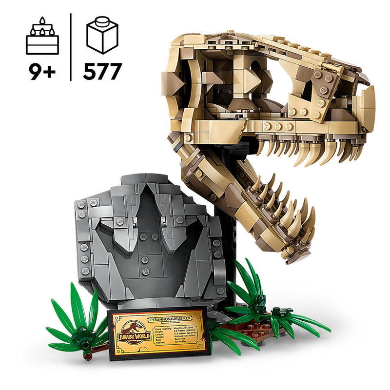 Load image into Gallery viewer, Lego LEGO Jurassic World 76964 Dinosaurusfossielen: T-Rex Schedel

