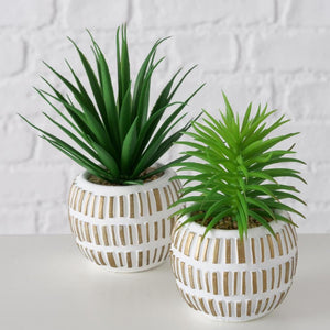 Boltze home kunstplant vetplant kunststof 9x9x13,3cm 2 assorti