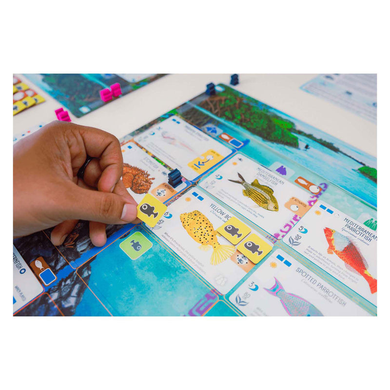 Load image into Gallery viewer, 999games 999 games finspan bordspel (nederlands, 1 - 5 spelers, 60 minuten, vanaf 10 jaar)
