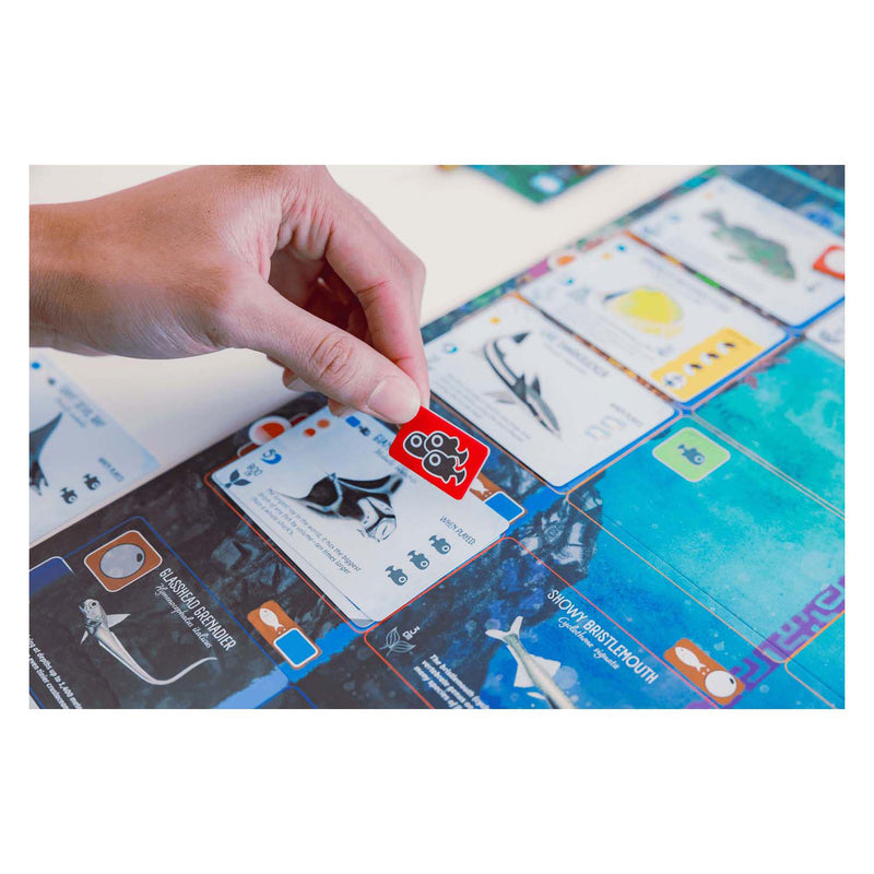 Load image into Gallery viewer, 999games 999 games finspan bordspel
