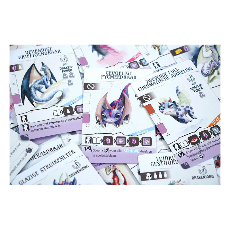 Load image into Gallery viewer, 999games 999 games wyrmspan drakenacademie uitbreiding
