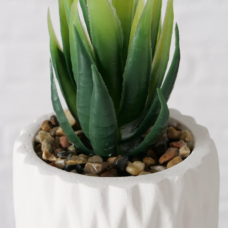 Load image into Gallery viewer, Boltze home kunstplant vetplant in pot wit h15cm
