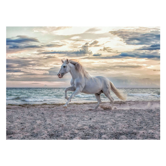 Ravensburger legpuzzel paard op het strand, 500st.