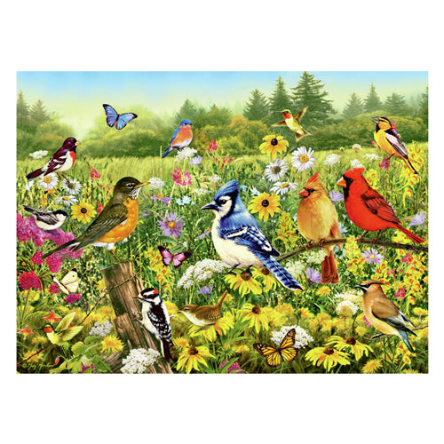 Load image into Gallery viewer, Ravensburger legpuzzel vogels in de wei, 1000st.
