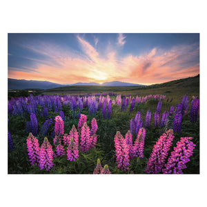 Ravensburger legpuzzel lupinen, 1000st.