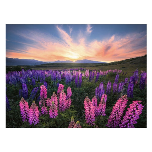 Load image into Gallery viewer, Ravensburger legpuzzel lupinen, 1000st.
