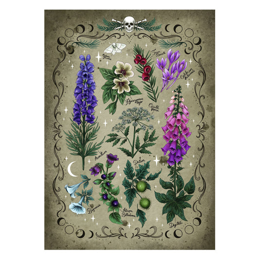 Load image into Gallery viewer, Ravensburger legpuzzel giftpflanzen, 1000st.
