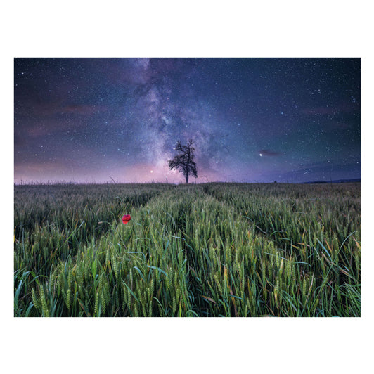 Load image into Gallery viewer, Ravensburger legpuzzel nachthim.uber dem kornfeld, 1500st.
