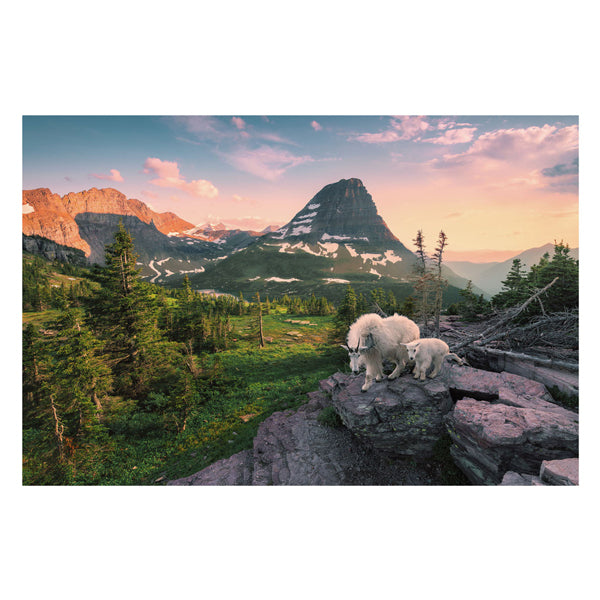 Load image into Gallery viewer, Ravensburger puzzel alpine geit met jong - legpuzzel - 3000 stukjes
