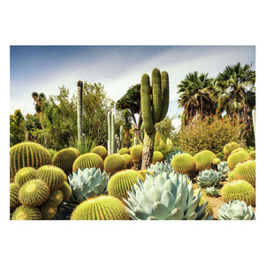 Ravensburger legpuzzel huntington desert garden 1000 stukjes landschap.
