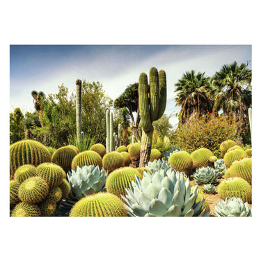 Ravensburger legpuzzel huntington desert garden 1000 stukjes landschap.
