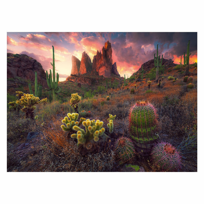 Load image into Gallery viewer, Ravensburger legpuzzel cactus, 500st.
