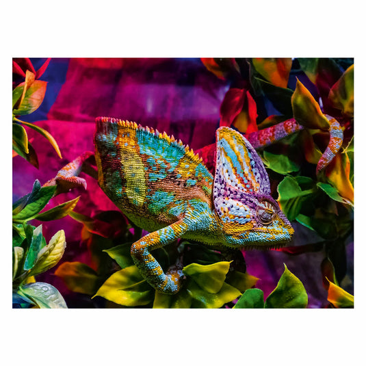 Ravensburger puzzel chameleon 500st