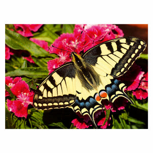 Ravensburger legpuzzel colorful animals vlinder, 500st.