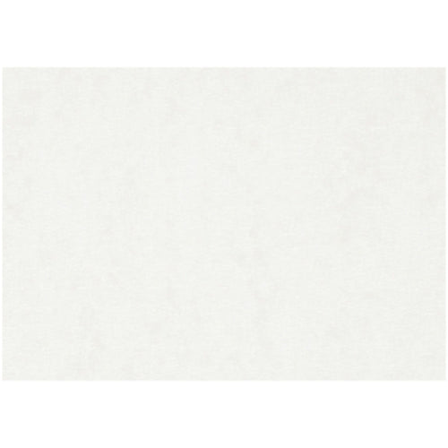 Aquarelpapier, a3, vel 297x420 mm, 300 gr, wit, 100 vel 1 doos