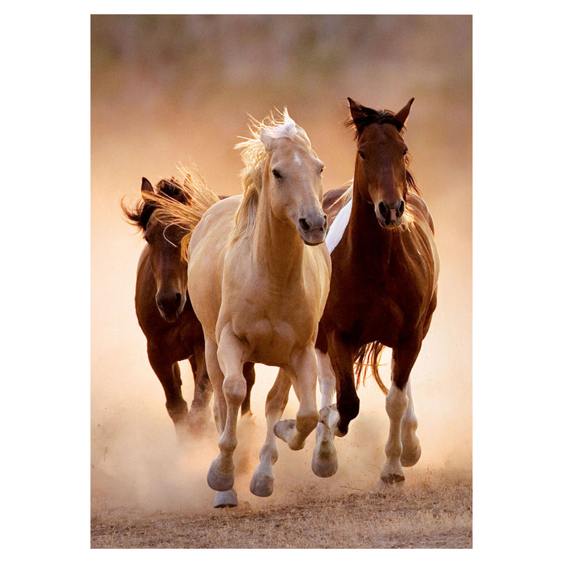 Load image into Gallery viewer, Clementoni puzzel paarden, 1000st.
