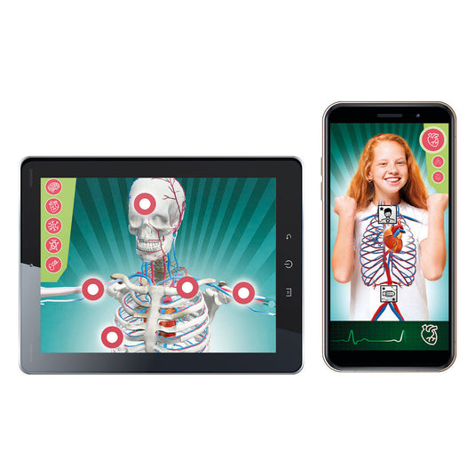 Clementoni wetenschap en spel - super anatomie
