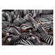 Clementoni Legpuzzel National Geographics - Zebra, 1000st.
