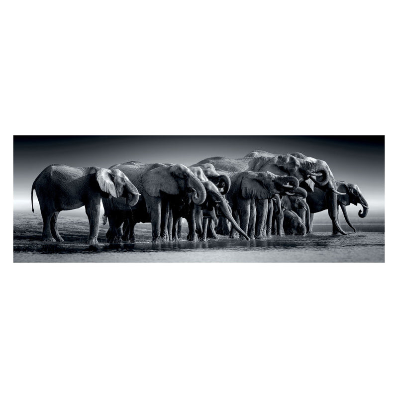 Load image into Gallery viewer, Clementoni legpuzzel panorama herd of giants, 1000st.
