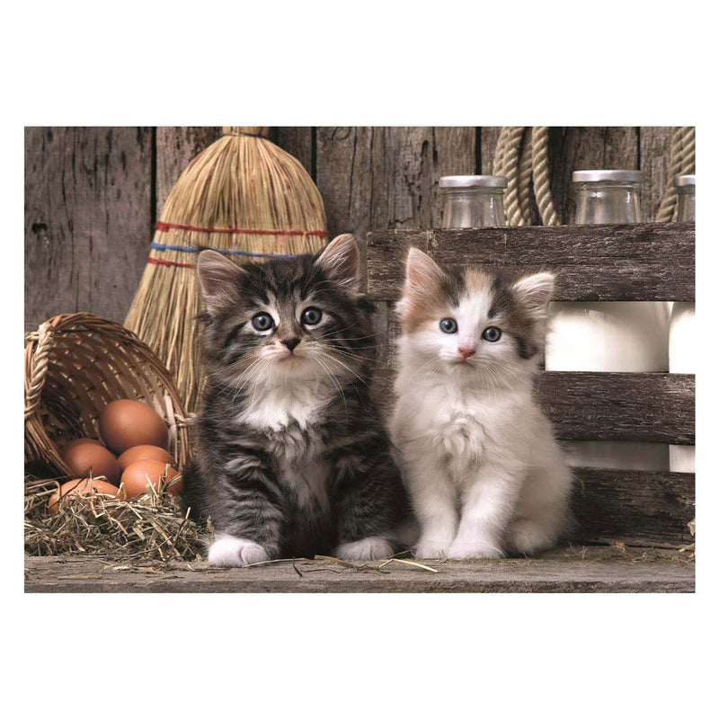 Load image into Gallery viewer, Clementoni puzzel 1000 stukjes lovely kittens
